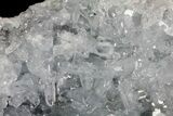 Blue Celestine (Celestite) Crystal Geode - Madagascar #70835-1